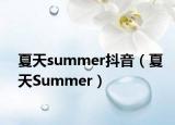 夏天summer抖音（夏天Summer）