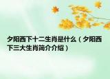 夕阳西下十二生肖是什么（夕阳西下三大生肖简介介绍）
