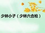 少林小子（少林六合枪）