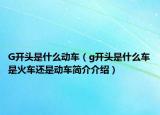 G开头是什么动车（g开头是什么车是火车还是动车简介介绍）