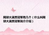 网球大满贯冠军有几个（什么叫网球大满贯冠军简介介绍）