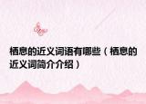栖息的近义词语有哪些（栖息的近义词简介介绍）