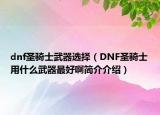 dnf圣骑士武器选择（DNF圣骑士用什么武器最好啊简介介绍）