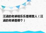 汪涵的老婆杨乐乐是哪里人（汪涵的老婆是哪个）