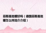菲斯曼地暖好吗（德国菲斯曼地暖怎么样简介介绍）