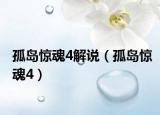 孤岛惊魂4解说（孤岛惊魂4）