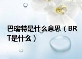 巴瑞特是什么意思（BRT是什么）