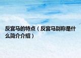 反宫马的特点（反宫马别称是什么简介介绍）