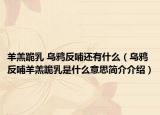 羊羔跪乳 乌鸦反哺还有什么（乌鸦反哺羊羔跪乳是什么意思简介介绍）