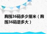 胸围36码多少厘米（胸围36码是多大）
