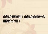 山脉之魂特性（山脉之血有什么用简介介绍）