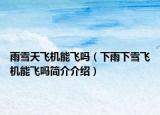 雨雪天飞机能飞吗（下雨下雪飞机能飞吗简介介绍）