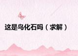 这是鸟化石吗（求解）