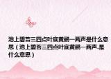 池上碧苔三四点叶底黄鹂一两声是什么意思（池上碧苔三四点叶底黄鹂一两声.是什么意思）