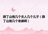 薛丁山有几个夫人几个儿子（薛丁山有几个老婆啊）