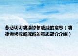 悲悲切切凄凄惨惨戚戚的意思（凄凄惨惨戚戚戚戚的意思简介介绍）