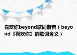 喜欢你beyond歌词谐音（beyond《喜欢你》的歌词含义）