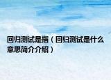 回归测试是指（回归测试是什么意思简介介绍）