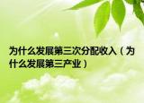 为什么发展第三次分配收入（为什么发展第三产业）