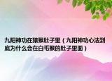 九阳神功在猿猴肚子里（九阳神功心法到底为什么会在白毛猴的肚子里面）
