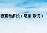 寂寞有多长（马条 歌词）