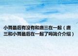 小舞最后有没有和唐三在一起（唐三和小舞最后在一起了吗简介介绍）