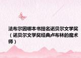 法布尔因哪本书提名诺贝尔文学奖（诺贝尔文学奖经典卢布林的魔术师）