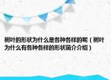 树叶的形状为什么是各种各样的呢（树叶为什么有各种各样的形状简介介绍）