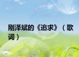 刚泽斌的《追求》（歌词）