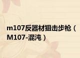 m107反器材狙击步枪（M107-混沌）