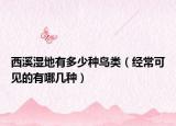 西溪湿地有多少种鸟类（经常可见的有哪几种）