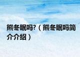 熊冬眠吗?（熊冬眠吗简介介绍）