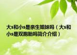 大s和小s是亲生姐妹吗（大s和小s是双胞胎吗简介介绍）