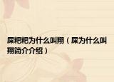 屎粑粑为什么叫翔（屎为什么叫翔简介介绍）