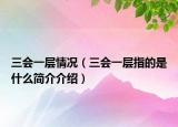 三会一层情况（三会一层指的是什么简介介绍）