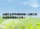 山楂什么季节成熟采摘（山楂几月份成熟采摘简介介绍）