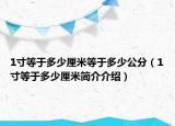 1寸等于多少厘米等于多少公分（1寸等于多少厘米简介介绍）
