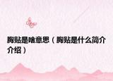 胸贴是啥意思（胸贴是什么简介介绍）