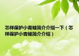 怎样保护小青蛙简介介绍一下（怎样保护小青蛙简介介绍）