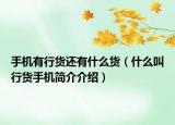 手机有行货还有什么货（什么叫行货手机简介介绍）