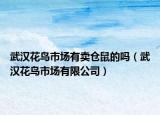武汉花鸟市场有卖仓鼠的吗（武汉花鸟市场有限公司）