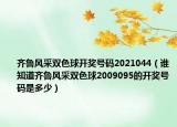 齐鲁风采双色球开奖号码2021044（谁知道齐鲁风采双色球2009095的开奖号码是多少）