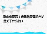 歌曲伤爱罪（音乐伤爱罪的MV是关于什么的）