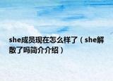 she成员现在怎么样了（she解散了吗简介介绍）