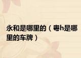 永和是哪里的（粤h是哪里的车牌）