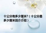 十公分有多少厘米?（十公分是多少厘米简介介绍）