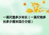 一英尺是多少米长（一英尺有多长多少厘米简介介绍）