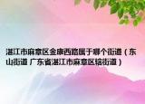 湛江市麻章区金康西路属于哪个街道（东山街道 广东省湛江市麻章区辖街道）