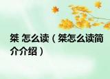 桀 怎么读（桀怎么读简介介绍）