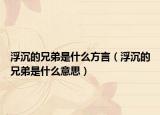 浮沉的兄弟是什么方言（浮沉的兄弟是什么意思）